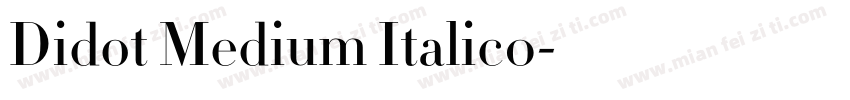 Didot Medium Italic0字体转换